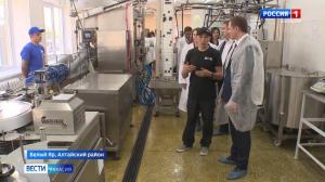 В Алтайском районе запустили новую линию по производству молочной продукции 