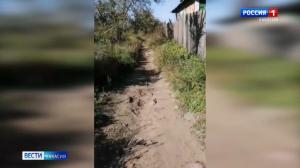 Мобильный репортёр: жители Черногорска просят привести в порядок улицу Максима Горького 