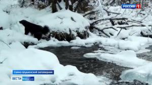 Редкие кадры из жизни Саяно-Шушенского заповедника