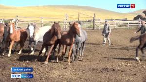 В хозяйствах идет осенняя обработка сельхозживотных 