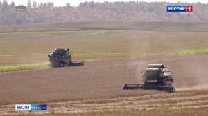 Выпавший снег не повлиял на ход уборочной 