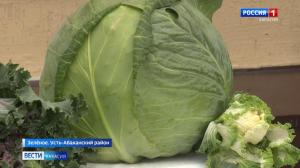 В Усть-Абаканском районе прошел фестиваль капусты