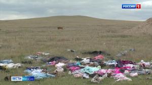 Россельхознадзор требует убрать свалки возле села Московское