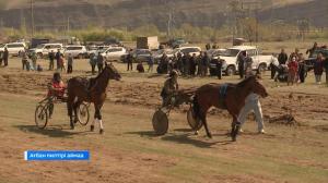 Жители Таштыпского района начали разводить скаковых лошадей 