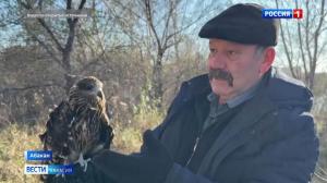 Житель Абакана спас раненую птицу