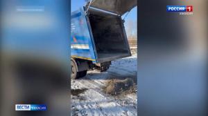 По дороге загорелся мусоровоз