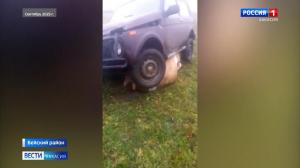 Фермер из Табата, который наехал на корову, не понесет наказания