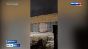 В Черногорске по улицам гуляла рысь