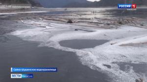 В заливе Джойская Сосновка произошел разлив нефтепродуктов