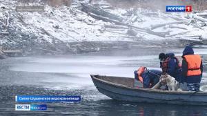 Нефтяное пятно в заливе Джойская Сосновка ликвидировали