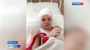 Девочку из Черногорска, которую покусала собака, будут лечить в Москве