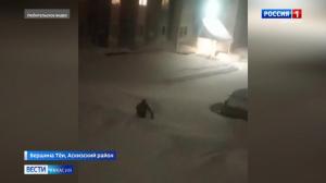 Вершину Тёи завалило снегом