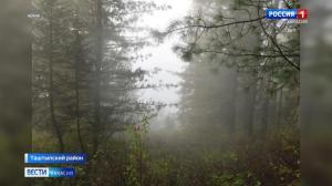 Трагедия на охоте: суд вынес решение