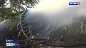 В Парке культуры и отдыха Абакана готовят лыжню