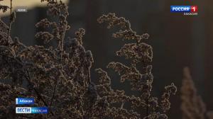 Хакасию ждут настоящие крещенские морозы 