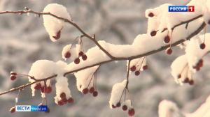 К концу недели заметно потеплеет