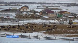 В Аскизском районе более 20-ти лет действует программа «Ярочки»