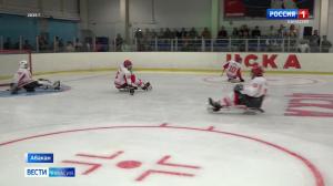 Команда по следж-хоккею выбирает название