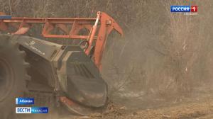 В Абакане работает гигантский кусторез