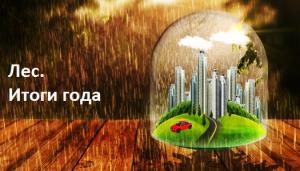 Лес. Итоги года