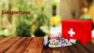 Биоритмы