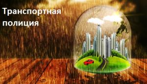 Транспортная  полиция